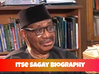 itse sagay biography