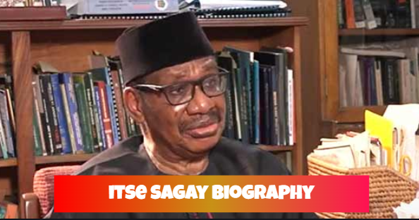 itse sagay biography