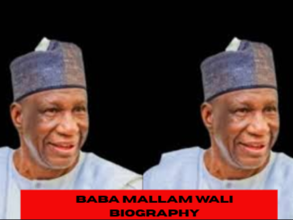baba mallam wali biography