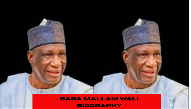baba mallam wali biography